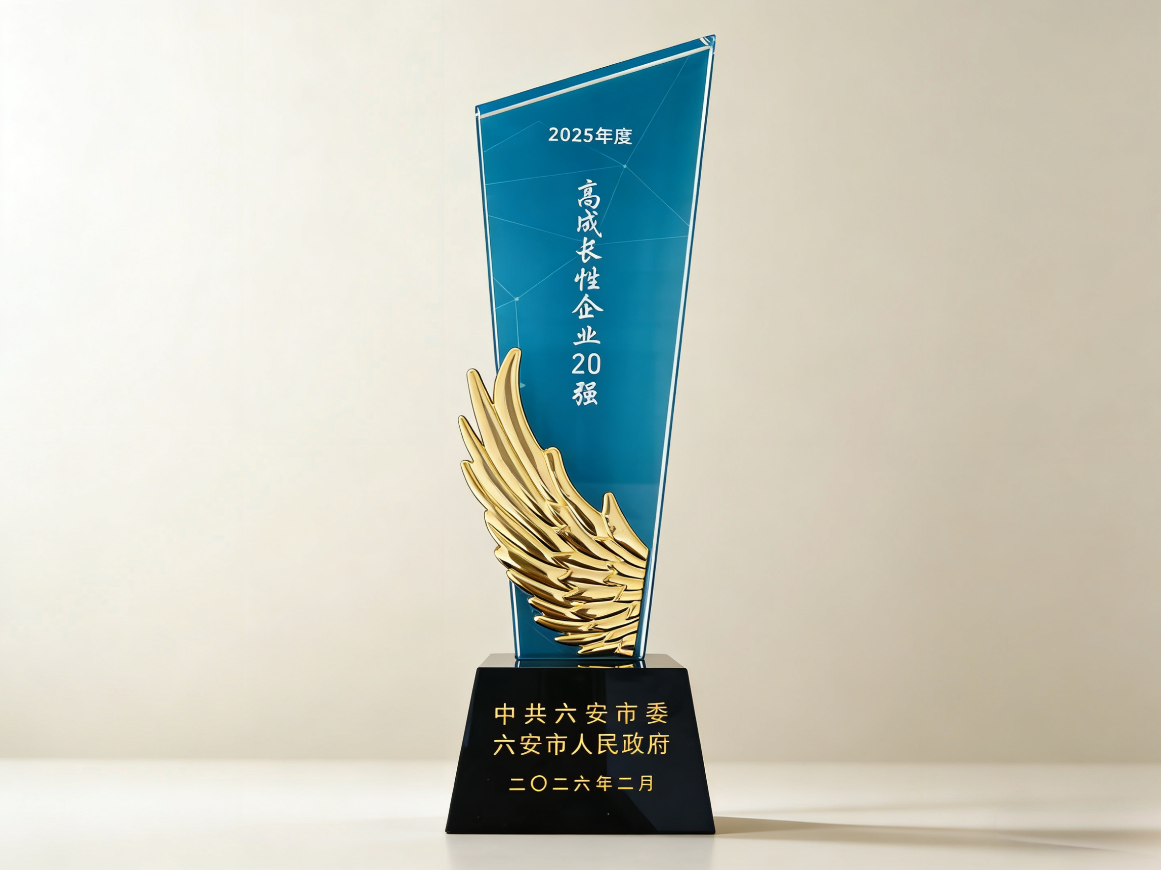 六安鑄造獲”2025年度高成長性企業(yè)20強(qiáng)“榮譽(yù).png